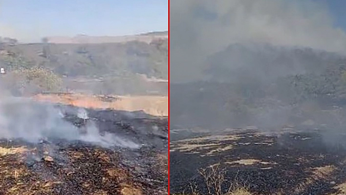 Elazığ'da otluk alanda yangın