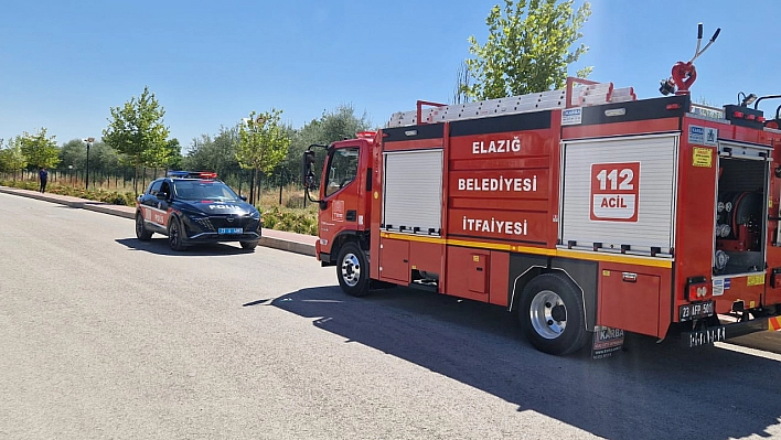 Elazığ'da otluk alanda yangın