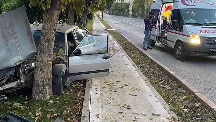 Elazığ'da Otomobil Ağaca Çarptı