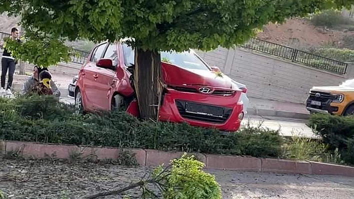 Elazığ'da Otomobil Ağaca Çarptı