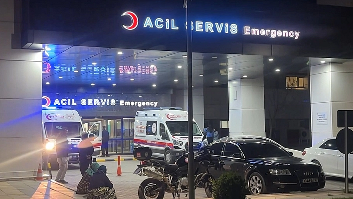 Elazığ'da Otomobil Şarampole Uçtu: 2 Ölü, 1 Yaralı