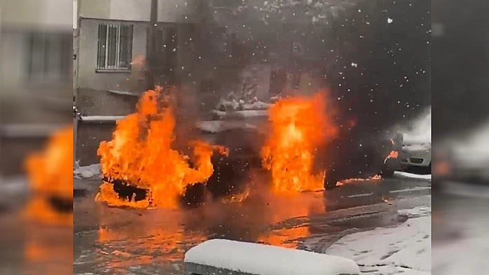 Elazığ'da park halindeki otomobiller alev topuna döndü