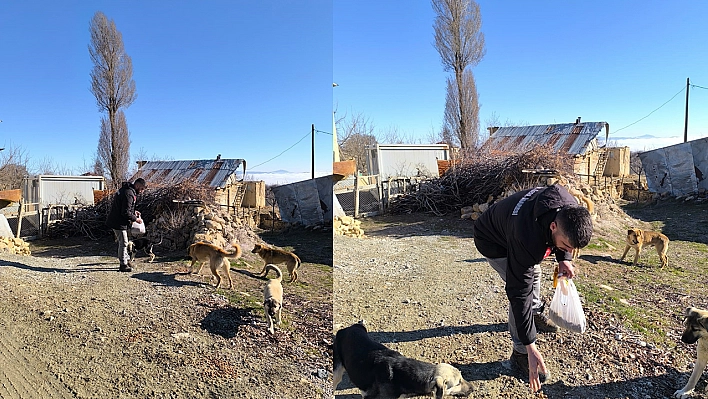 Elazığ'da patili dostlar unutulmadı