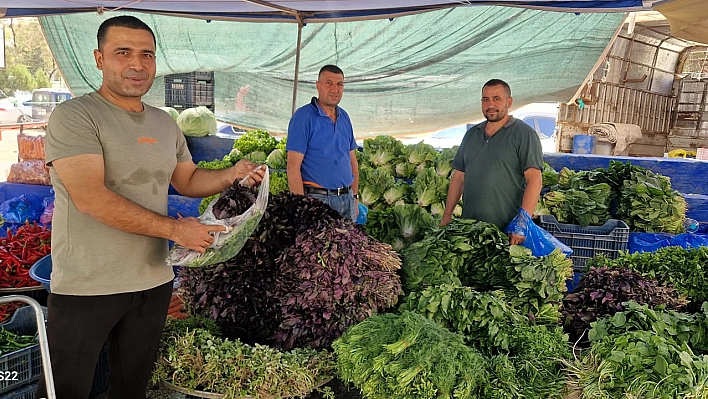 Elazığ'da pazarcılar: 'Yeşillikte verim yüksek, fiyatlar uygun'