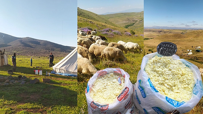 Elazığ'da Peynir Alırken Sağlığınızdan Olmayın