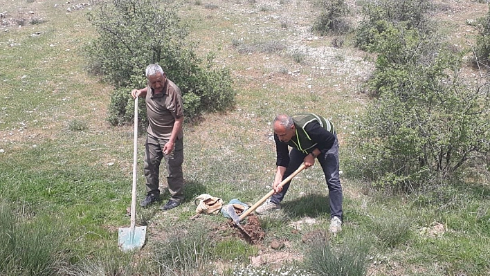 Elazığ'da Rekor Ceza! Görenler Şok Oluyor