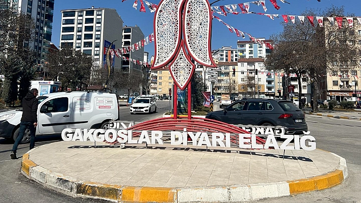 Elazığ'da rezalet!