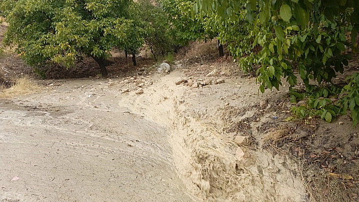 Elazığ'da sağanak yağış, sele neden oldu