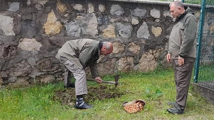 Elazığ'da Salep Soğanı Toplayan Kişiye Ceza Yağdı