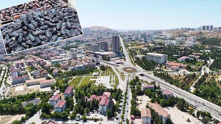 Elazığ'da satışlar yüzde 70 düştü, esnaf gelişlerine sevinemedi