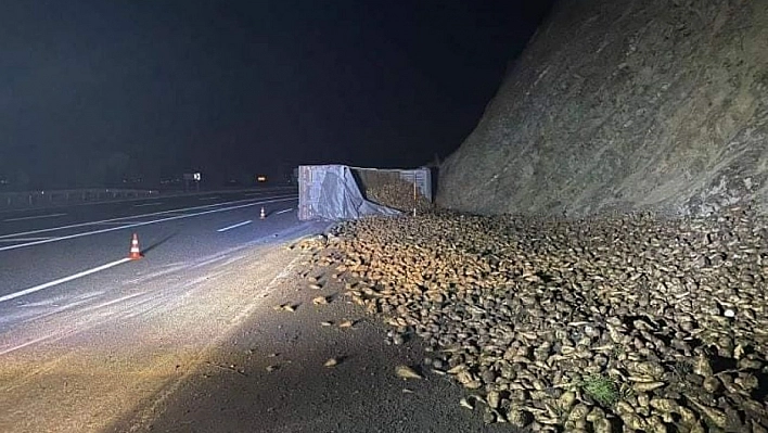 Elazığ'da şeker pancarı yüklü tır devrildi: 1 yaralı