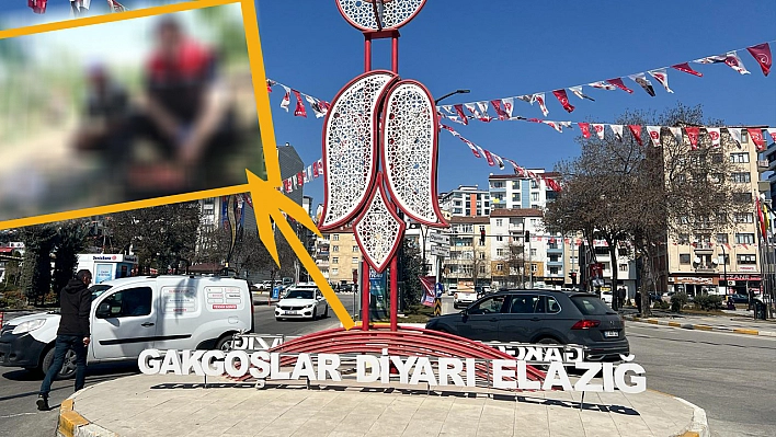 Elazığ'da Sezon Başladı Her Yerde Göreceksiniz