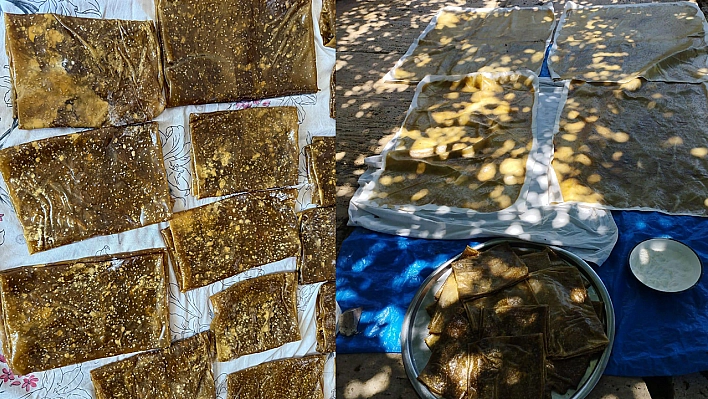 Elazığ'da şimdi tam zamanı yoğun mesaisi başladı