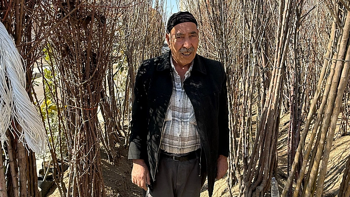 Elazığ'da soğuk hava o sektörü de dondurdu