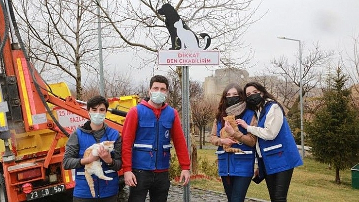 Elazığ'da sokak hayvanlarını korumak için uyarı tabelası