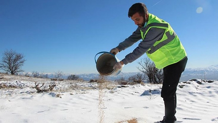 Elazığ'da sokak ve yaban hayvanları için 90 farklı noktaya yem bırakıldı