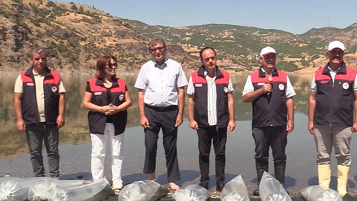 Elazığ'da su kaynaklarına 5 milyon 786 bin yavru sazan kazandırılacak