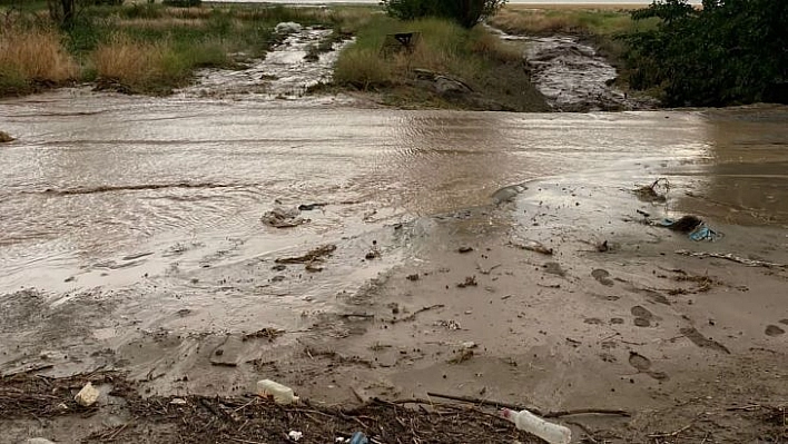 Elazığ'da tarım arazilerini sel vurdu