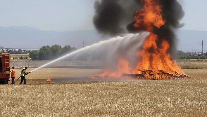 Elazığ'da tarla yangını