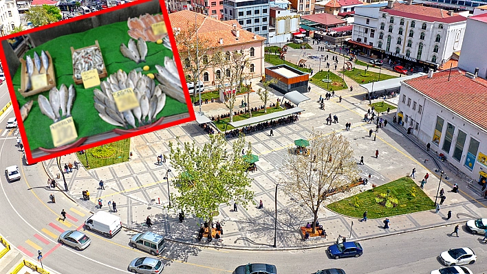 Elazığ'da taze balıklar tezgahlarda yerini aldı