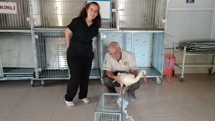 Elazığ'da Tedavisi Yapılan Leylek, Doğaya Bırakıldı