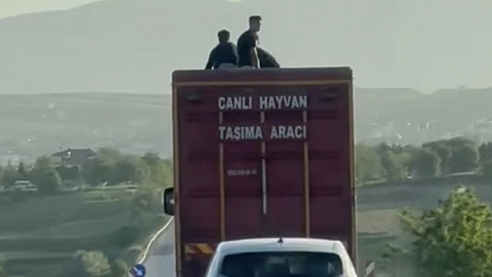 Elazığ'da tehlikeli yolculuk!