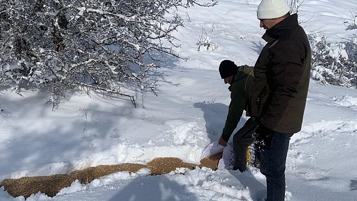 Elazığ'da Unutulmayanlar Canlar