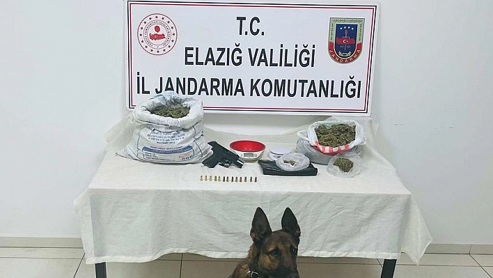 Elazığ'da Uyuşturucu Operasyonu: 2 Gözaltı