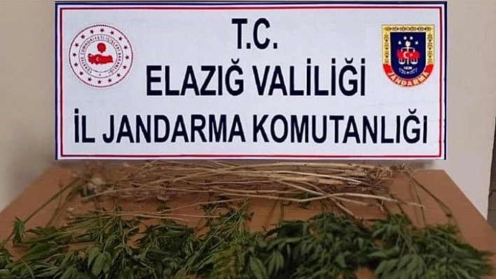 Elazığ'da uyuşturucuyla mücadele çalışması