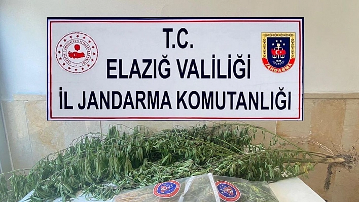 Elazığ'da varil içerisine zulalanmış kenevir ele geçirildi