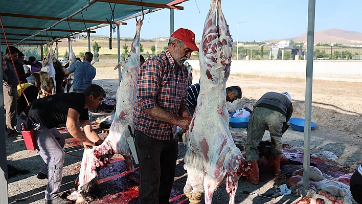 Elazığ'da vatandaşlar, kurbanlarını kesti