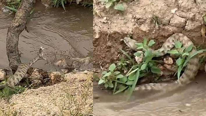 Elazığ'da Vatandaşlar Tedirgin Olmaya Devam Ediyor Sayıları Her Geçen Gün Artıyor!