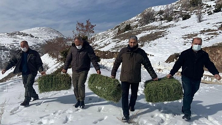 Elazığ'da Yaban Hayatı İçin Doğaya Tonlarca Yem Bırakıldı