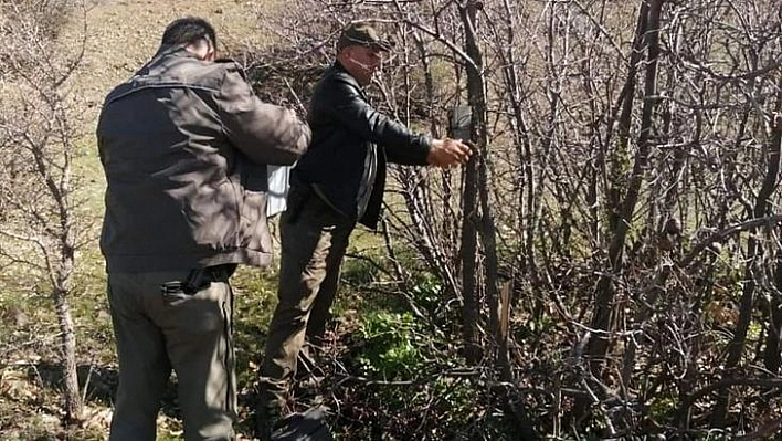 Elazığ'da Yaban Hayatı Ve Kaçak Avcılar, Foto kapanlarla Tespit Ediliyor