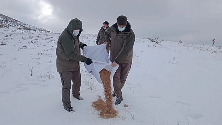 Elazığ'da Yaban Hayvanları İçin Doğaya Yem Bırakıldı