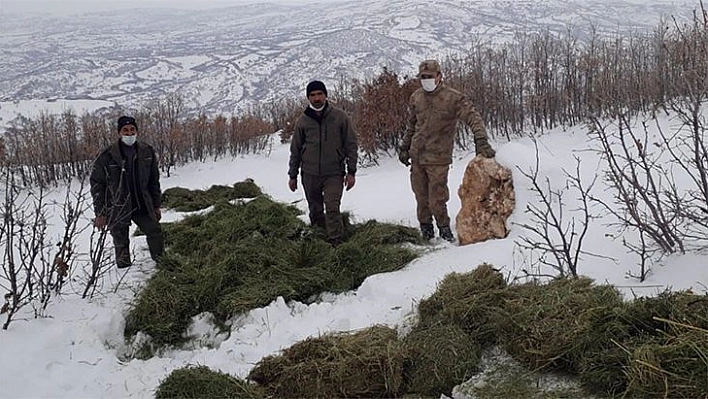 Elazığ'da Yaban Hayvanları İçin Doğaya Yem Bırakıldı