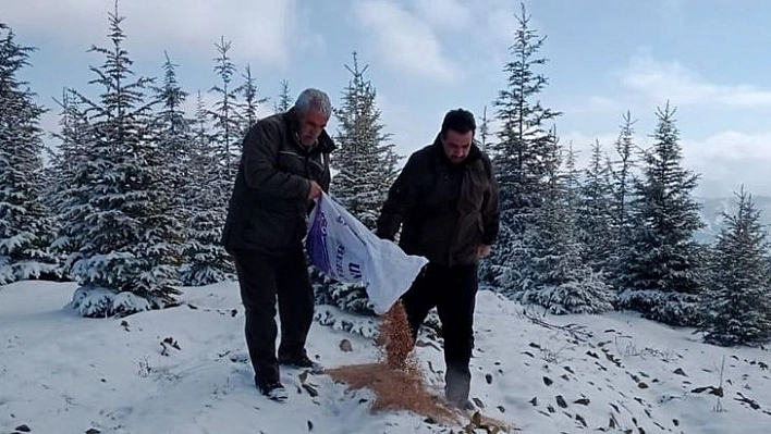 Elazığ'da Yaban Hayvanları İçin Doğaya Yem Bırakıldı