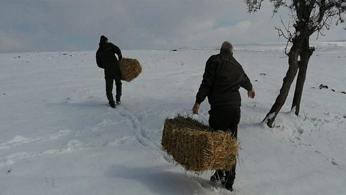 Elazığ'da Yaban Hayvanları İçin Doğaya Yem Bırakıldı