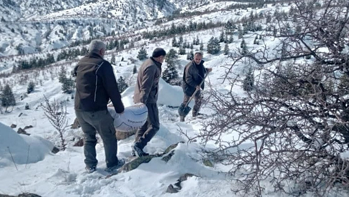 Elazığ'da Yaban Hayvanları İçin Doğaya Yem Bırakıldı