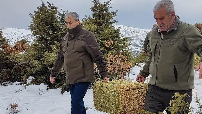 Elazığ'da yaban hayvanları unutulmadı