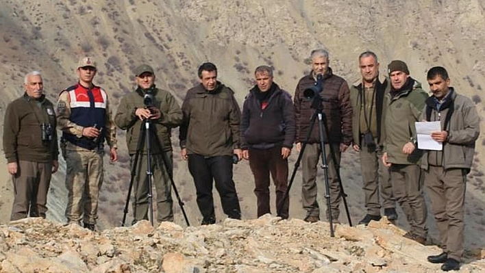 Elazığ'da yaban keçisi envanter çalışması yapıldı