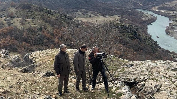 Elazığ'da Yaban Keçisi Envanter Çalışması Yapıldı