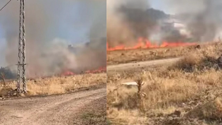 Elazığ'da yangın, 10 dönüm alan zarar gördü