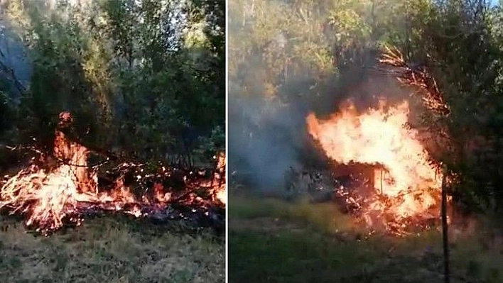 Elazığ'da yangın: 4 bahçe zarar gördü