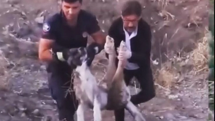 Elazığ'da yaralı halde bulunan köpek itfaiye ekipleri tarafından kurtarıldı