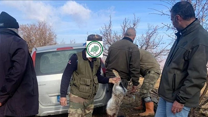 Elazığ'da yasa dışı avcılık yapan 4 şahsa idari işlem uygulandı