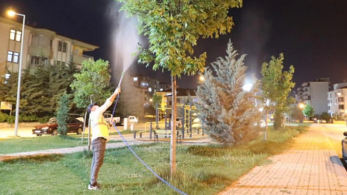 Elazığ'da Yeşil Alanlar İlaçlanıyor