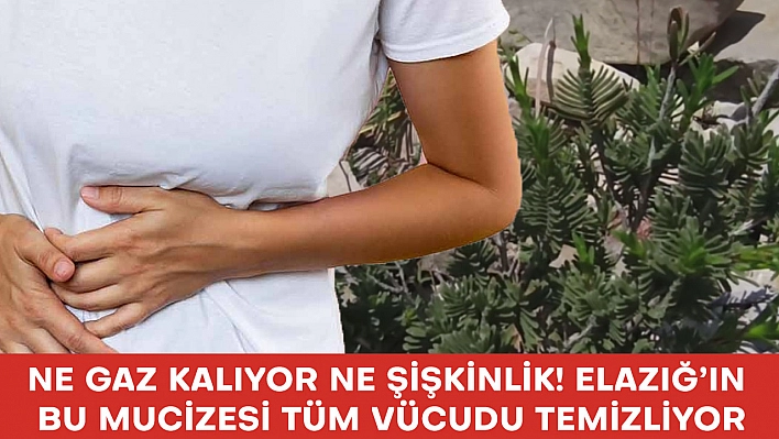 Elazığ'da yetişiyor! Tüketenler bir daha ilaç kullanmıyor: Faydası saymakla bitmiyor