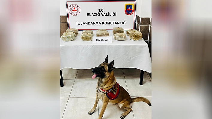 Elazığ'da yolcu otobüsünde 14 kilo esrar ele geçirildi