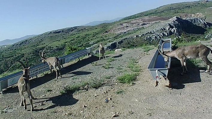 Elazığ'da Yüksek Farkındalık Göstergesi Olan Çalışma